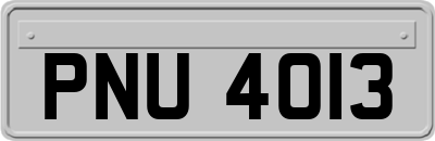 PNU4013