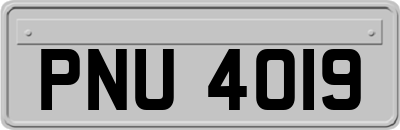 PNU4019