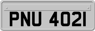 PNU4021