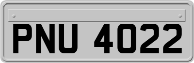 PNU4022