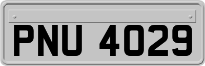 PNU4029