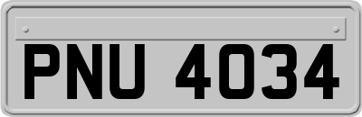 PNU4034