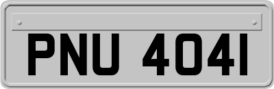 PNU4041