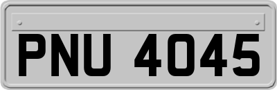 PNU4045