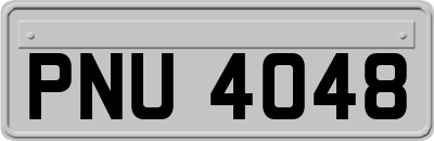 PNU4048