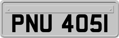 PNU4051