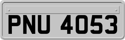 PNU4053