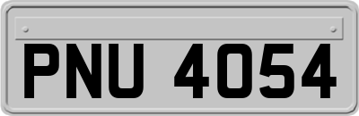 PNU4054