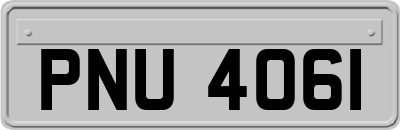 PNU4061