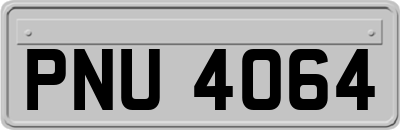 PNU4064