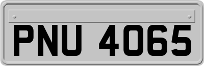 PNU4065