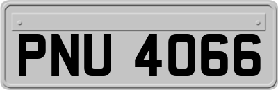 PNU4066