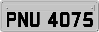 PNU4075