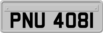 PNU4081