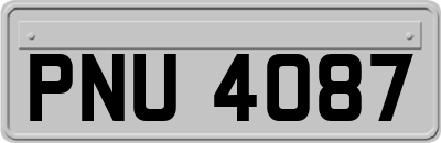 PNU4087