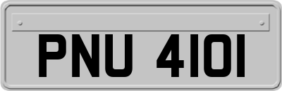 PNU4101