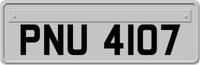 PNU4107