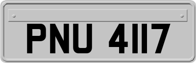 PNU4117