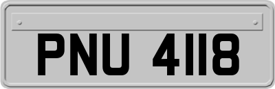 PNU4118