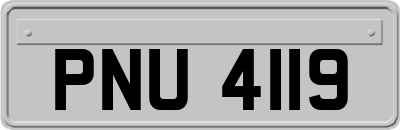 PNU4119