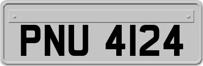 PNU4124