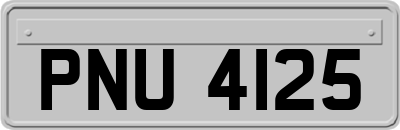 PNU4125