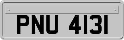 PNU4131