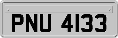 PNU4133