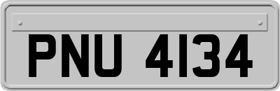 PNU4134