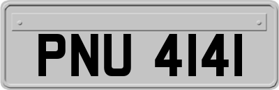 PNU4141