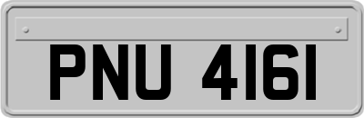 PNU4161