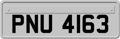 PNU4163