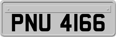 PNU4166