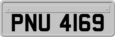 PNU4169