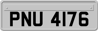 PNU4176