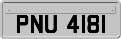 PNU4181