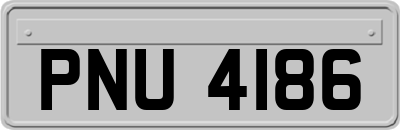 PNU4186