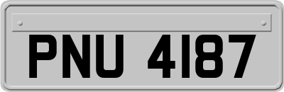 PNU4187