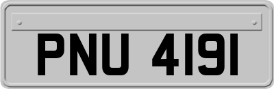 PNU4191