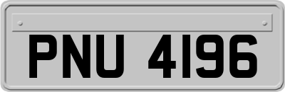 PNU4196