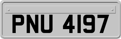 PNU4197