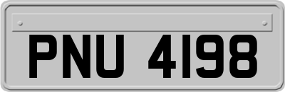 PNU4198