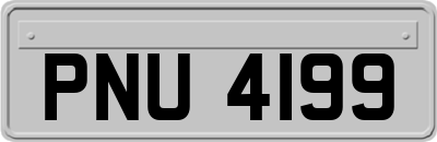 PNU4199