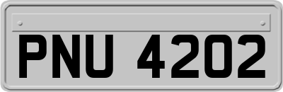 PNU4202