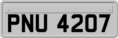 PNU4207