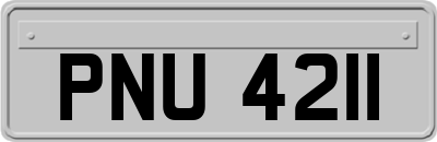 PNU4211