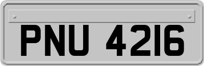 PNU4216