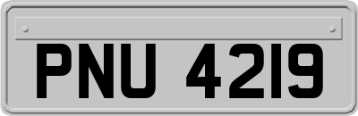 PNU4219