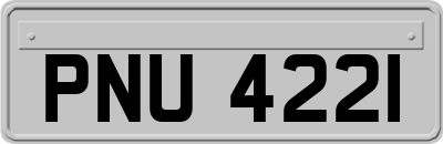 PNU4221