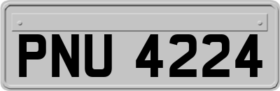 PNU4224